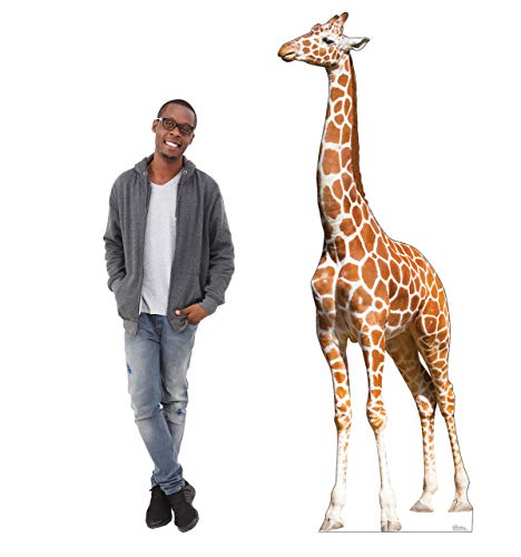 Cardboard People Giraffe Life Size Cardboard Cutout Standup
