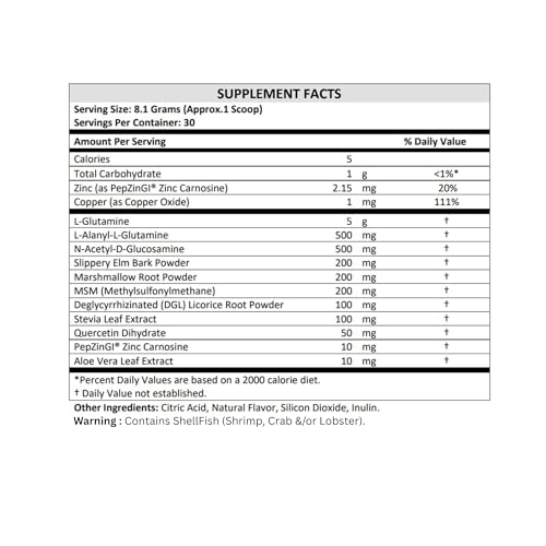 Terra Origin Healthy Gut Powder | supports digestion & fix leaky gut | Helps Alleviate Stomach Discomfort | Berry Flavour | Gluten-free | Dairy Free| For Men & Women | 120 g