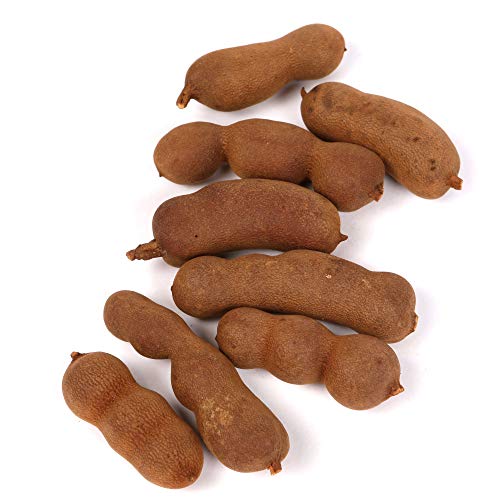 Dorri - Fresh Sweet Tamarind 500g | Premium Quality Fresh Tamarind, Naturally Sweet & Tangy (Available from 150g to 2kg)