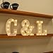 Foaky LED Letter Lights Sign Marquee Light Up Letters Sign for Night Light Wedding/Birthday Party Battery Powered Christmas Lamp Home Bar Decoration(L)