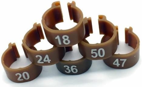 100 Numbered Chicken Leg Bands (brown) 445