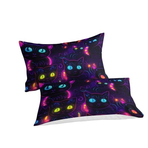 Housse de couette chat 3D parure de lit microfibre ado 200x200