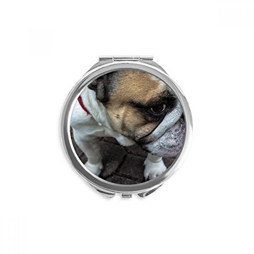 Bouledogue pet photographie miroir maquillage de poche pour vos retouches en terrasse