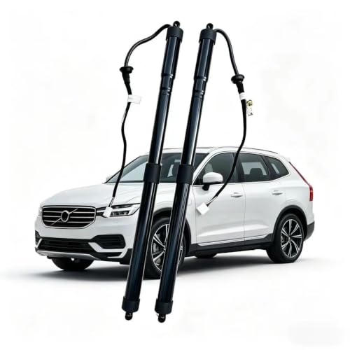 Jambes de force de hayon électrique à levage fluide RAV4 - 6