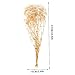 KAILIKETIY Dried Breath Flower Bouquets Natural Floral Arrangements for Home Wedding and Table Centerpieces Decor for All Seasons