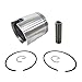 Asaki Piston Kit Compatible with John Deere JDX8/800 Snowmobile 09-666-01 0.25mm with Ring