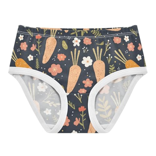 Wusikd Carrots Flowers Girls' Underwear Cotton Girls Briefs Soft Toddler Underwear 2T