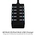 Sabrent 60 Watt (12 Amp) 10-Port [UL Certified] Family-Sized Desktop USB Rapid Charger. Smart USB Ports with Auto Detect Technology [Black] (AX-TPCS)