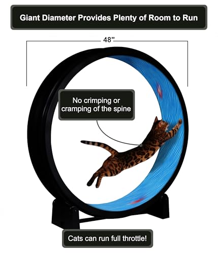 One Fast Cat - Cat Exercise Wheel - Gen. 7 - Safe 48" Diameter - Made in The USA - Black Wheel with Koi Pond Foam Traction Pads and Solid Black Inline Wheels - Image 5