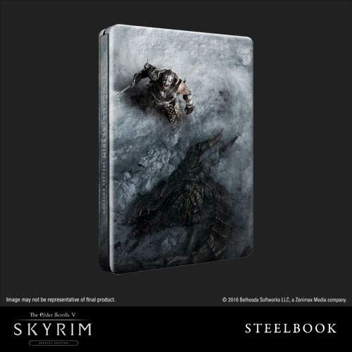 Preisvergleich Produktbild The Elder Scrolls V: Skyrim Steelbook (ohne Spiel)