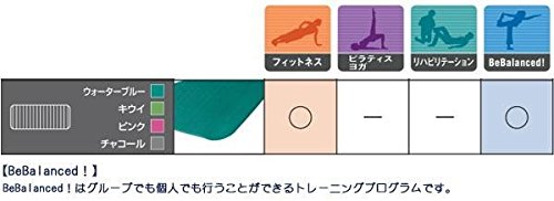 Amazon | AIREX(R) エアレックス マット フィットネスマット(波形