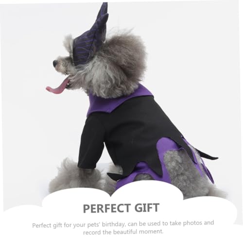 Disfraz Halloween para Perro L Bruja Negro miniatura 7
