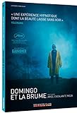 Domingo et la Brume