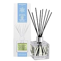 Algopix Similar Product 20 - MAISON BERGER 106008 Reed Diffuser
