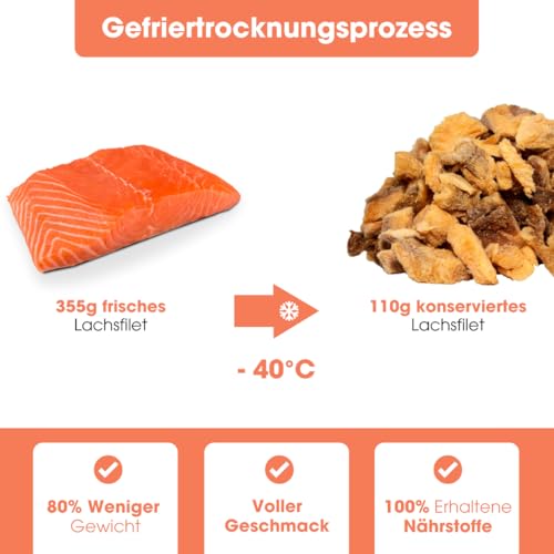 KAUDAS LachsPur Natursnack – 5 x 50 g gefriergetrocknetes Lachs Leckerli Hund mit hohem Proteingehalt & Omega-3, 100% natürlicher Hundesnack 550 g Rohgewicht – ohne Zucker, Getreide & Zusatzstoffe