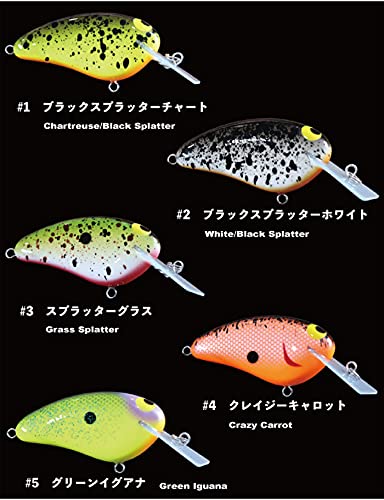 Amazon | テンフィートアンダー ワラミー ワイドル モア TEN FEET