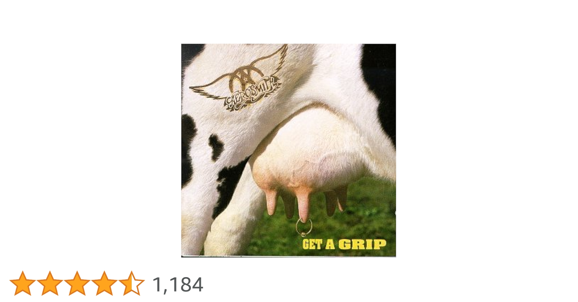 送料込み AEROSMITH ツアーパンフ GET A GRIP 送料込み AEROSMITH ツアーパンフ GET A GRIP 91ue9I5i22L