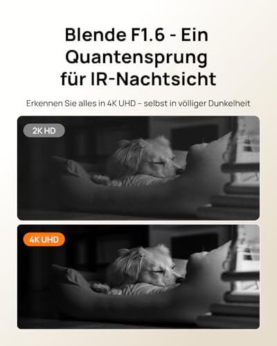 Anona Pano 4K Innenüberwachungskamera mit 360° Auto-Tracking & Wi-Fi 6, Indoor Kamera mit Personen-, Haustier-, Babyweinen-Erkennung, 2-Wege-Audio, Datenschutzmodus | Alexa-kompatibel, 1er-Pack