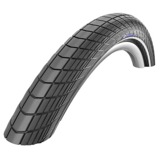 Schwalbe 11100299, Big Apple Perf, RaceGuard Unisex Adulto, B/B-SK+RT, 60-559 HS430 EC 67EPI
