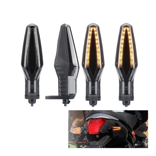 Indicateur direction pour R1250GS réparant le clignotant cassé