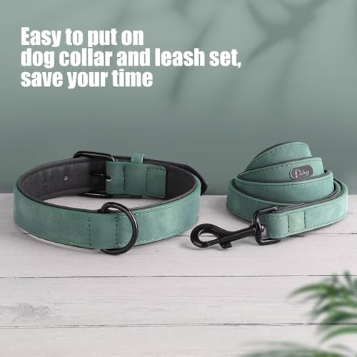 Image of Didog PU Leather Dog Collar and Leash Set, Soft Padded, Green, Neck 11-14 inch