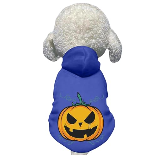  nEB pvL L s[X  ̃nEBRX`[ g ʐ^B ʋC  J{` ͋C[J[ Halloween ˂ (u[C2XL)