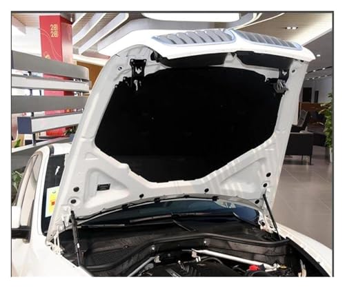 Isolation thermique capot pour BMW X5 X6 E70 E71 protégeant le moteur des années 2008 à 2013 - 2