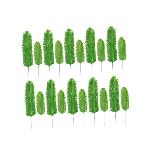 Hojas De Parra Lidl ️ 2024