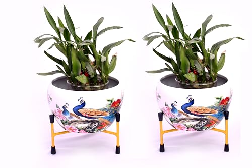 Image of Amazon Brand - Solimo Tripod Stand | Set of 2 | Peacock Design | Multicolor | Iron