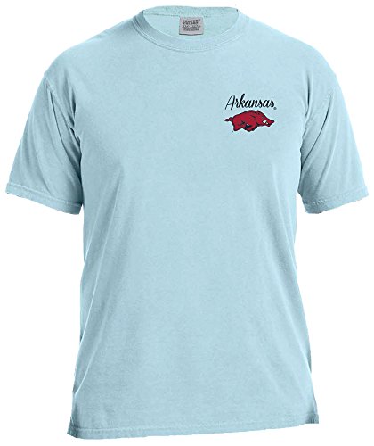 Image One NCAA The South Short Sleeve Comfort T-Shirt