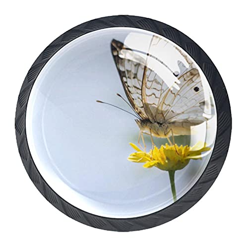 Boutons de meuble en cristal au design pissenlit de haute qualité - 3