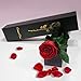 Imagen de Wondora Infinity Rose Eternal Rose para novia Caja de rosas preservada real