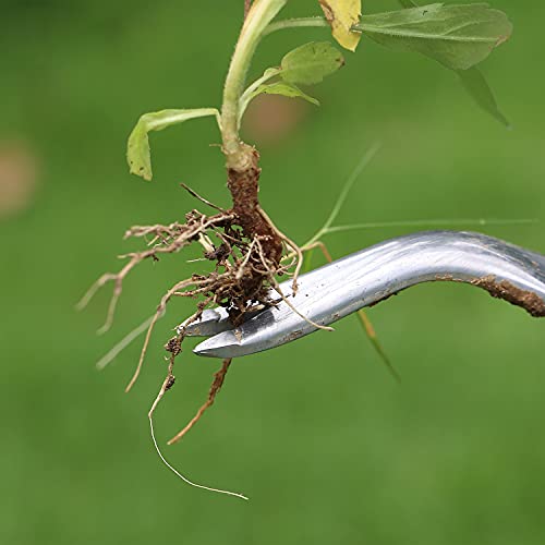 Mr. Pen- Hand Weeder Tool, Weeding Tool For Garden, Hand Weeder, Weeder Tool, Garden Tools For Gardening, Weed Digger, Dandelion Puller, Garden Weeder, Weed Pulling Tool, Weed Puller Tool #TOP6