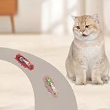 SHXMWINSY Cat Interactive Toys, 2PCS Electric Moving Beetle, Mini Electric Robot Beetle. Electric Funny Interactive Toy,Heal Loneliness,Replaceable Battery