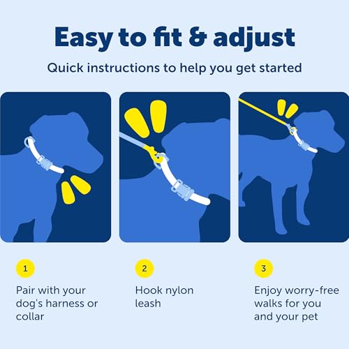 Image of PetSafe Nylon Dog Leash Strong, Durable, Traditional Style Lead with Easy to Use Bolt Snap for Small, Medium and Large Dogs 1 inch x 4', Royal Blue