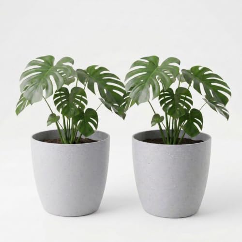 Image of YUCCABE ITALIA SHERA Stella 4 Inch Pack of 3 Piece Plastic Plant Pot for Home Decor Indoor Plant Pots for Living Room Plastic Flower Pot for Garden (Stone Grey, 10 INCH - 2 Pcs)