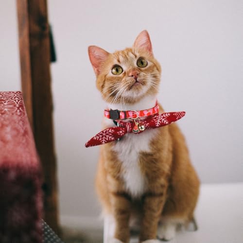 BATHVEVE 4 L ߉\ȓ_ t[cfUC xt ybgp Kȑ qL⏬^ ł킢ybgANZT