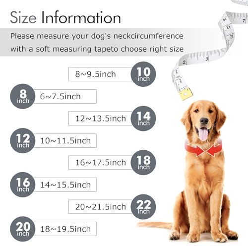 Image of Cuban Link Silver Dog Chain Collar Design Secure Buckle Crystal Necklace Silver Dog Metal Jewelry Accessories for Small Medium Large Pet Male Dogs (20inch)