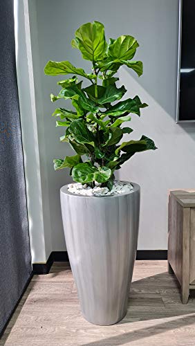 La Mejor review de Macetas decorativas grandes que Puedes comprar On-line. 15 Imagen adicional