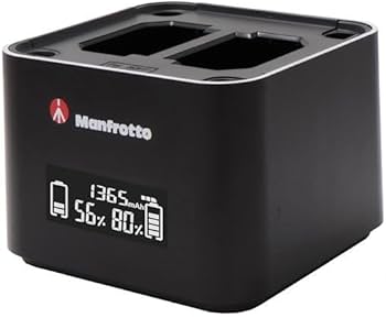 ホーネット2台　プロポ、充電器セット ホーネット2台 プロポ、充電器セット