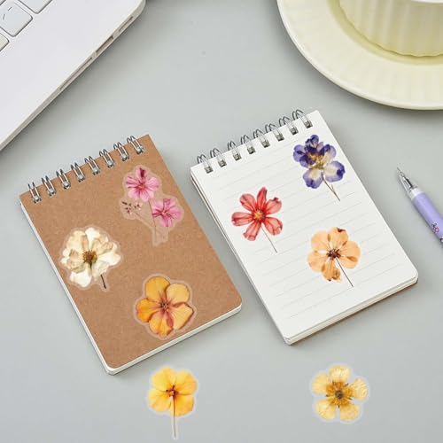 Image of 50PCS Transparent Flora Scrapbook Stickers, Vintage Aesthetic Flowers Sticker for Scrapbooks Travel Journal, Vinyl Waterproof for Water Bottles Laptop Phone Scrapbook Supplies DIY Crafts, (Flower-C)