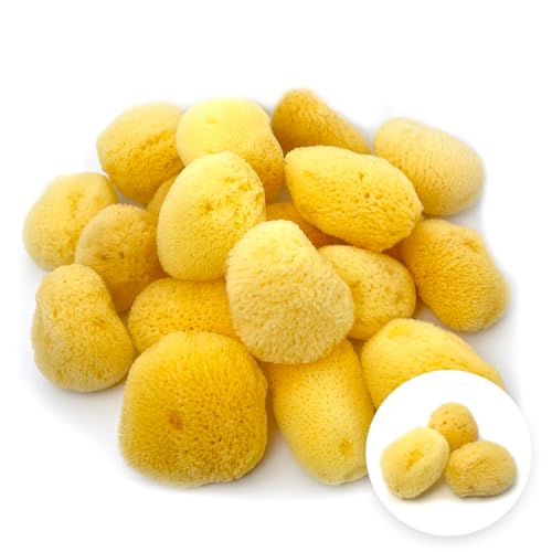 天然海綿シルク種 約5センチ Mサイズ キメが細かく優しい肌触り シルク海綿スポンジ 業務用大容量 まとめ買い用 メイク フェイス ボディ ソフト (合計3個)