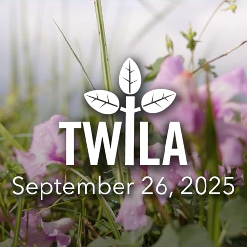 TWILA &mdash; September 26, 2025