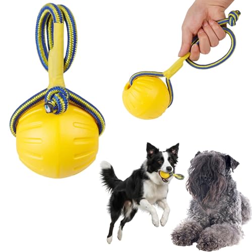 Lifetips �P���[�u���[�E�e���A ���p �������� EVA�����O �h�[�i�c�^ �{�[�� �y�� ��v �f�� ���� �V�їp �y�b�g�ߋ� ������ �T�|�[�g �^�� �X�g���X���U ���ɕ��� ���^�� ���^�� ��^�� �Ή� ���� �V�� �g���[�j���O �p �i���[�v�r�j