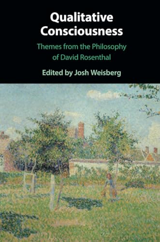 Qualitative Consciousness