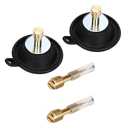 Vergaser-Reparatur-Kit Vergaser-Kit Ersatz für Yamaha Virago 535 500 XV535 XV500 XV Vergaser-Reparatur-Kit mit Kolbenkolben-Absperr-Schwimmernadel-Teilen