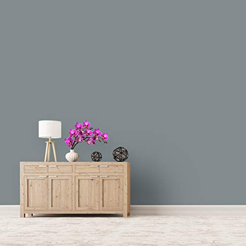 Montage Signature Interior/Exterior Eco-Friendly Paint, Blue Bayou, Low Sheen, 5 Gallon #TOP2