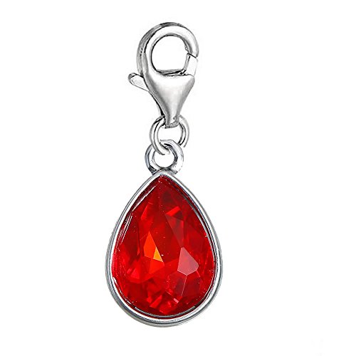 Clip on Birthstones le cadeau d'anniversaire symbolique idéal