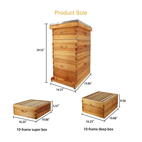ThxBees 10-Frame Bee Hive Complete Beehive Kit Beeswax Coated Beehive Include Frames and Foundation Sheets for All Beekeeping Levels (2 Deep & 1 Medium Bee Boxes) - Image 5