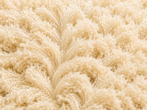 Image of Shaggy Carpet 4x6 Ft for Living Room & Bedroom (Light Mouse)
